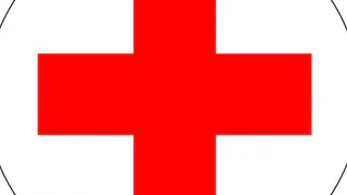 В Брянске «Красный Крест», проект «Мы вместе»  и «Единая Россия» создадут совместный штаб борьбы с коронавирусом