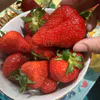 В Роспотребнадзоре пензенцам рассказали, как помыть овощи и фрукты, чтобы витамины не довели до больничной койки