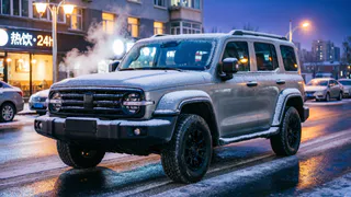 Продал новый "Дастер" - купил "Танк 300": выкинул 6 млн в пустоту - проблемы проявились до покупки