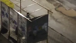 В Рязани неизвестный сломал остановку на улице Новаторов