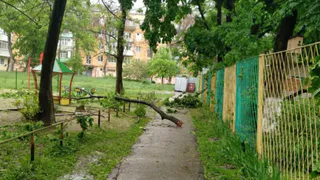 Сорокина поручила помочь семье погибшей при падении дерева женщины