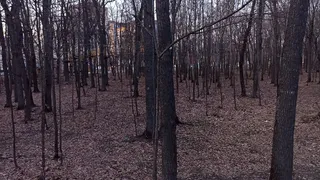 В Рязанской области из-за аномального тепла активизировались клещи