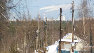 В одном из дачных поселков в Коми орудуют воры: возбуждено уголовное дело