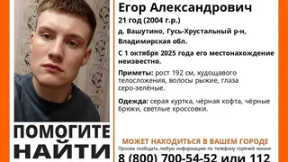 Во Владимирском регионе без вести пропал молодой человек