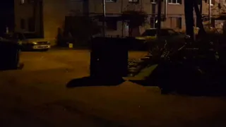 Вандалы разгромили новую остановку в Белых Берегах (видео)