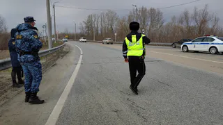 С 11 апреля выехавшим за город аннулируют права: водителей ждет неприятный сюрприз