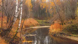 Рекорды недели — плюс 24 и минус 8, чего ждать на этот раз? Прогноз погоды в России 6–12 октября