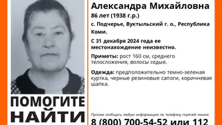 В Коми бесследно пропала 86-летняя женщина
