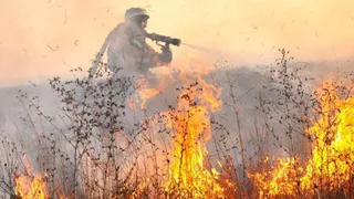 В Рязанской области выявили первый случай возгорания травы