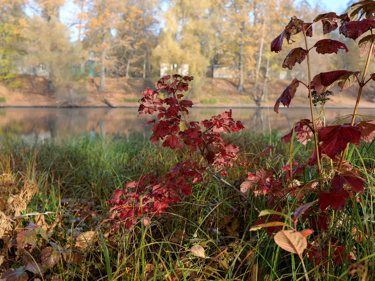 Прогноз погоды в Нижнекамске на субботу, 1 ноября
