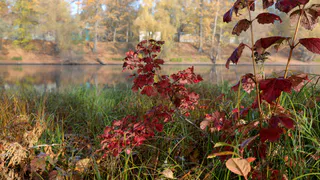 Прогноз погоды в Нижнекамске  на субботу, 1 ноября 