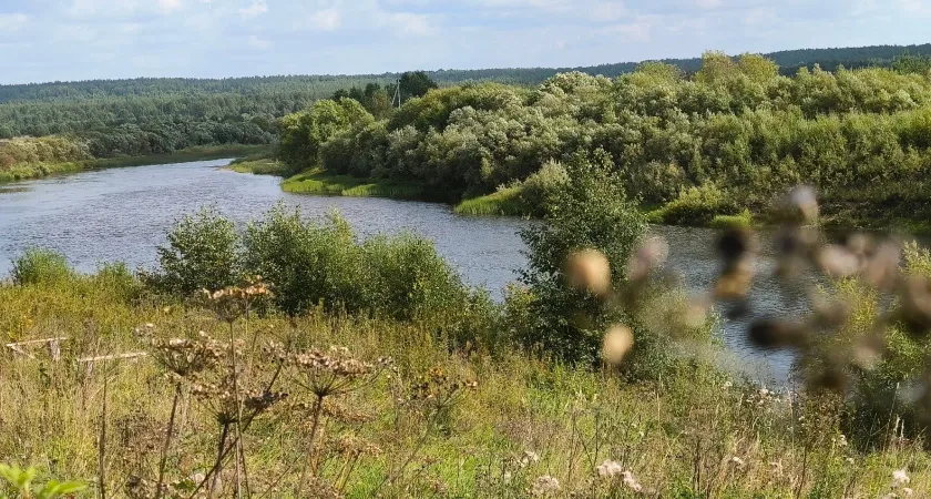 Бабье лето 2024: Уже назвали точные даты. Сколько продержится летнее тепло в этом году