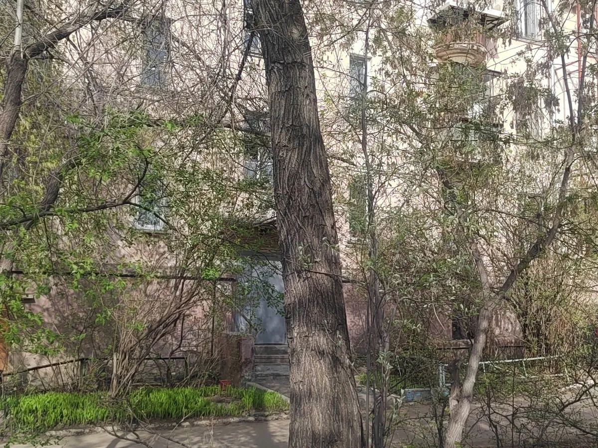 Запущенная территория во дворе дома по адресу Ломоносова 5 требует внимания администрации