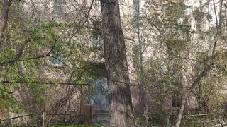 Запущенная территория во дворе дома по адресу Ломоносова 5 требует внимания администрации