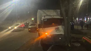 В Рязани автомобиль врезался в дерево