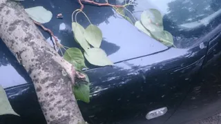 Житель Владимира выиграл дело о компенсации ущерба за поврежденный автомобиль