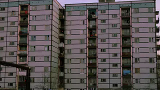 В Рязани управляющая компания обклеила подъезды рекламой, не спросив жильцов