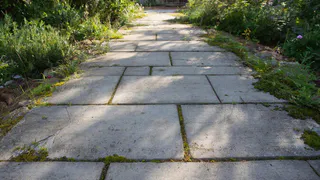 Мыльный бетон — новый тренд для дачи: как сделать прочную и чистую дорожку за сутки