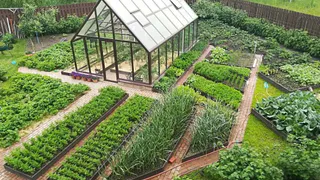 На радость дачникам: электричество будут подавать вплоть до 18 октября