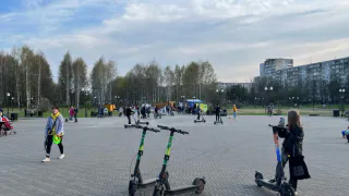 Лотерейный билет принесет выигрыш: Глоба предрек денежную удачу трем знакам зодиака