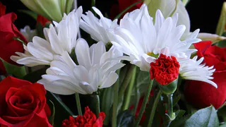 В Брянске сотрудники транспортной полиции почтили память ликвидаторов ЧАЭС