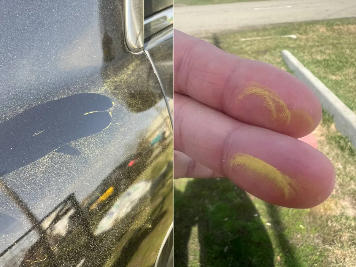 Эксперты успокоили горожан: объяснение появления зеленого налета в Челябинске и области