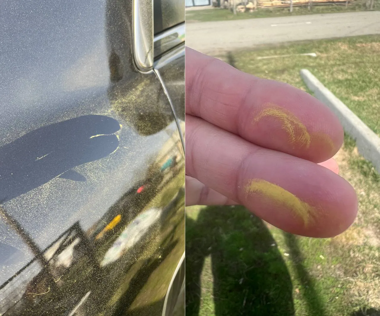 Эксперты успокоили горожан: объяснение появления зеленого налета в Челябинске и области
