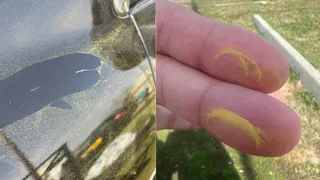 Эксперты успокоили горожан: объяснение появления зеленого налета в Челябинске и области