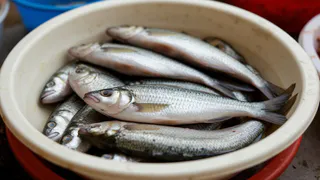 Не нож и не скребок: как опытные чистят рыбу от чешуи за считанные секунды — запомните раз и навсегда