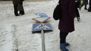 Сильный ветер: мэрия просит рязанцев не стоять под деревьями и шаткими конструкциями