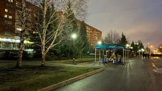 За неделю от укусов клещей пострадали 29 рязанцев