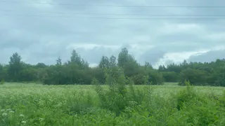 25 августа Чувашию накроют грозовые ливни с юго-западным ветром