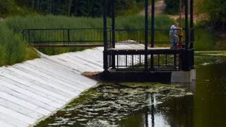 В Рогнединском районе утонули маленькие брат и сестра