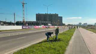 Переменную облачность и дожди обещают на Пасху в Брянске