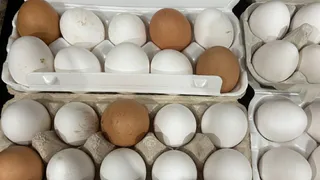 Заглянула в «Светофор» за яйцами, а купила тушенку из тунца - делюсь другими топ-находками
