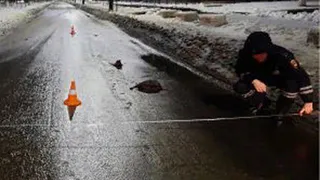 «ГАЗ» переехал лежавшего на бульваре Щорса в Брянске пешехода