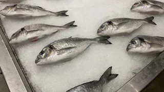 Справитесь за 30 секунд: Быстро и без мучений убираю кости даже из речной рыбы - научил опытный рыболов