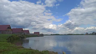 Гибель лебедя заставила его сородичей покинуть рязанское озеро