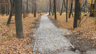 "Сроки благоустройства парка имени Гагарина сорваны" - активисты ОНФ