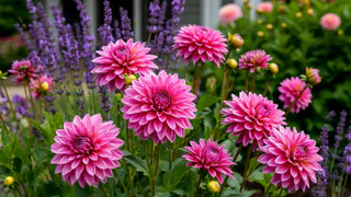 Сад для ленивых: 9 цветов, которые преобразят участок до неузнаваемости за месяц - необыкновенная красота