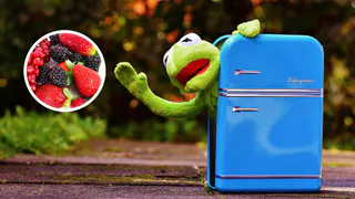 Как с помощью морозилки сохранить себе кусочек лета