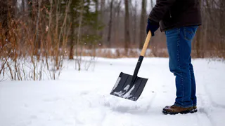 Дальнобойщик привез лопату, аналогов которой нет в России - почему мы не додумались сами?