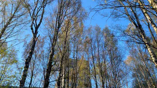 В Коми 23 мая удивляет контрастами: одни мерзнут при -4 °C, другие греются при +18 °C