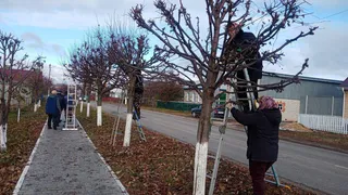 Жители Чувашии хотят навести порядок в округах перед первым снегом