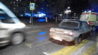 В Рязани водитель "Волги" сбил на переходе мать с ребенком