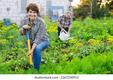 Дачные души пенсионеров