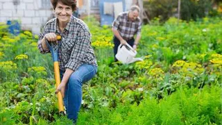 Дачные души пенсионеров