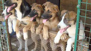 Прокуратура подала в суд на Правительство Брянской области