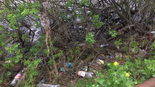 Нижнекамец: «Спасите озеро!»