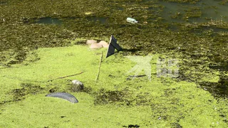 Не для слабонервных: появилось фото мужчин, утонувших в озере в Голенчино